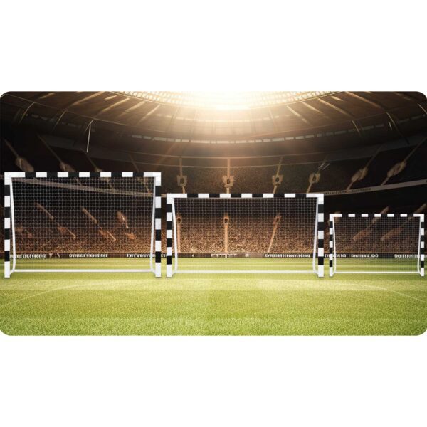 Futbolo vartai 300 x 160 x 90 cm NS-460 juodi ir balti