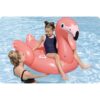 Pripučiamas čiužinys „Flamingo“, 138 x 107 cm, „Bestway 41525“