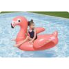Pripučiamas čiužinys „Flamingo“, 138 x 107 cm, „Bestway 41525“